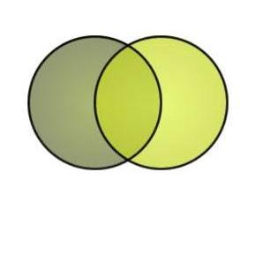 Green Venn Diagram